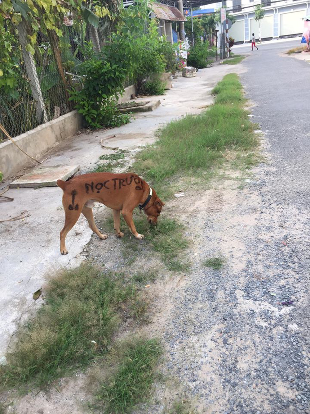 Tha thu vài đường hổ báo cho cậu Vàng đi đòi nợ thuê, ai ngờ dân mạng vừa liếc qua đã phán: Tấu hài cho đứa vay tiền thì đúng hơn! - Ảnh 6.