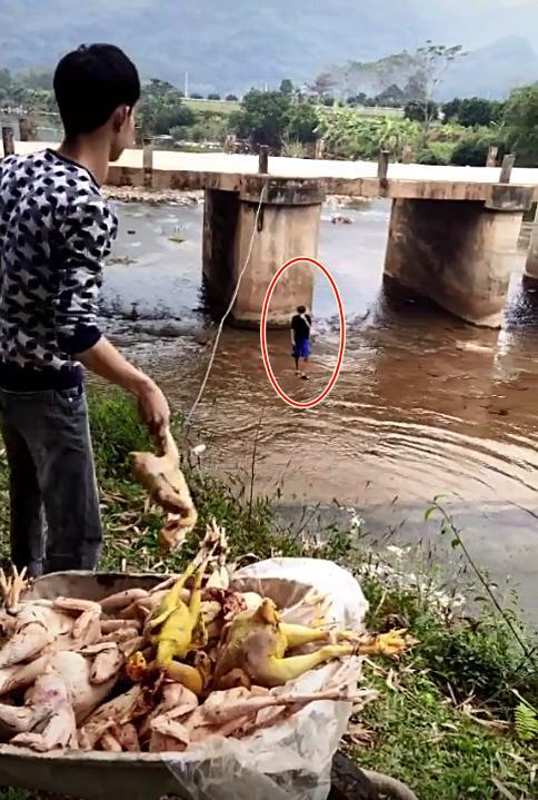 Chàng trai quăng hàng chục con gà xuống suối khiến dân mạng nhao lên tiếc rẻ, hóa ra đó lại là 'hậu trường' làm cổ cỗ cưới 3