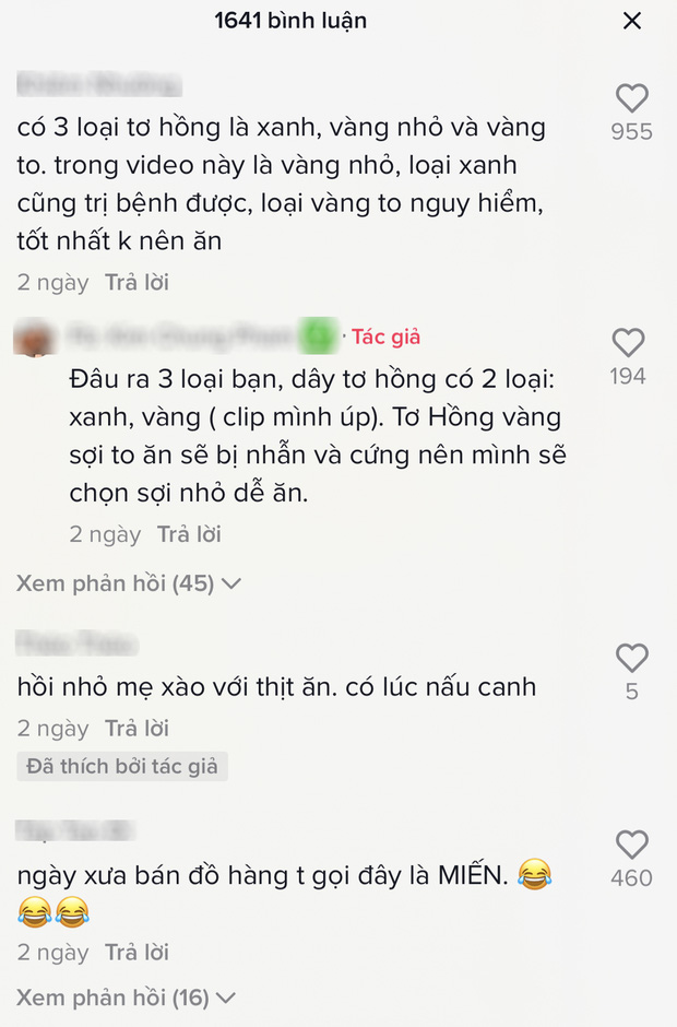 Việt Nam có loài thực vật mọc dại không ai nghĩ sẽ ăn được, xem clip cô gái mang đi chế biến càng hoang mang hơn? - Ảnh 7.